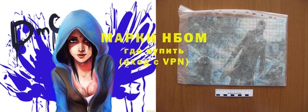 a pvp Магас