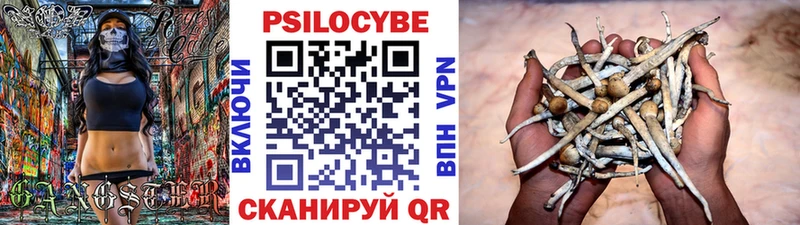 Псилоцибиновые грибы Magic Shrooms  Купить  Белово 